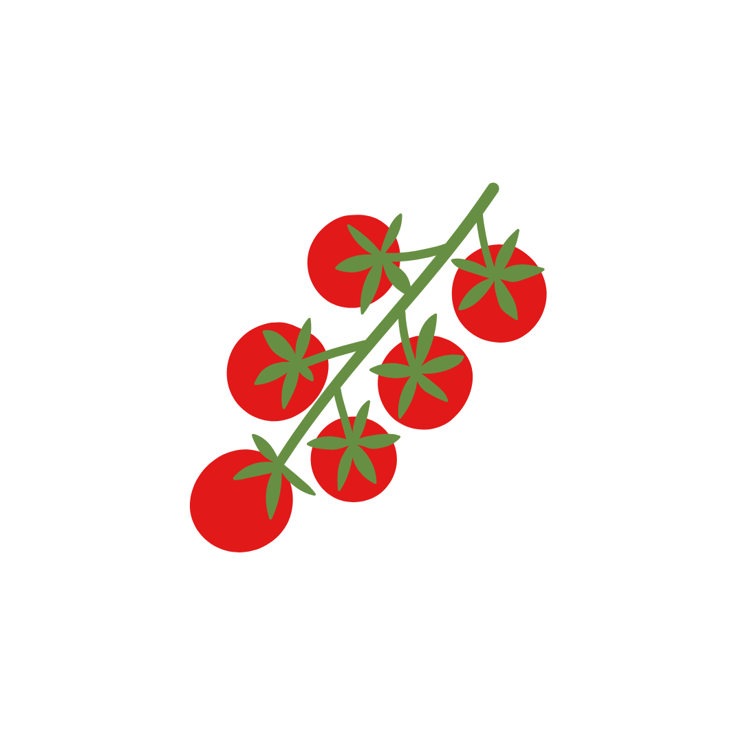 Tomato Plant - Sakura